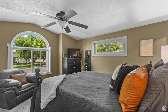 980 E 2850 N, North Logan, UT 84341 - bedroom featuring lofted ceiling, a ceiling fan, and a textured ceiling