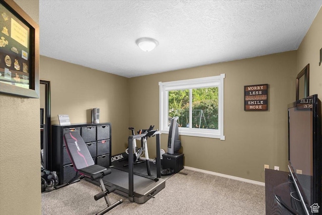 980 E 2850 N, North Logan, UT 84341 - exercise room with a textured ceiling and carpet