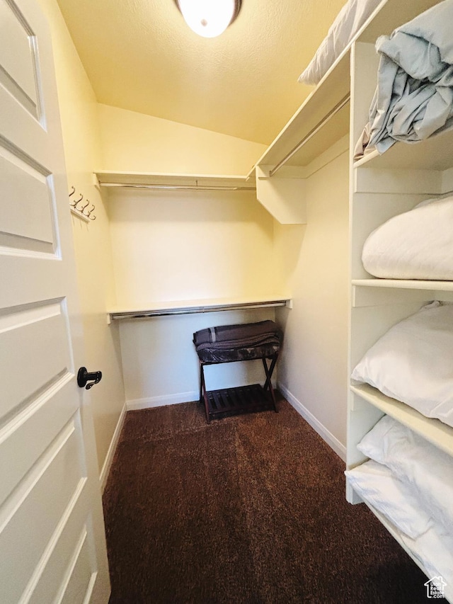 3853 Mitchell Dr, Santa Clara, UT 84765 - spacious closet featuring dark colored carpet and vaulted ceiling