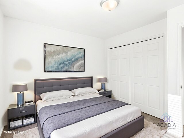 1285 S 550 E, Springville, UT 84663 - bedroom with carpet floors and a closet