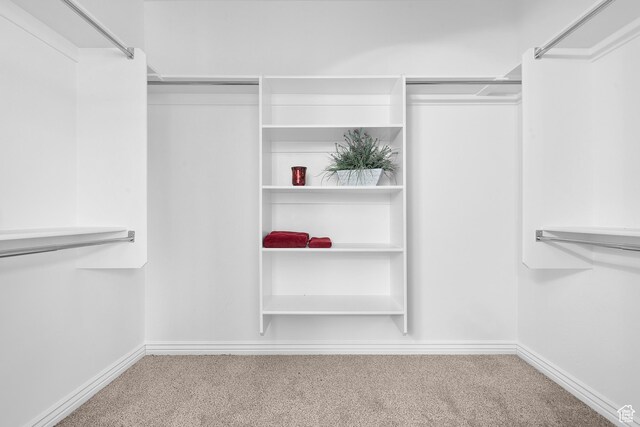 649 E 5650 S, Washington Terrace, UT 84405 - walk in closet featuring carpet floors