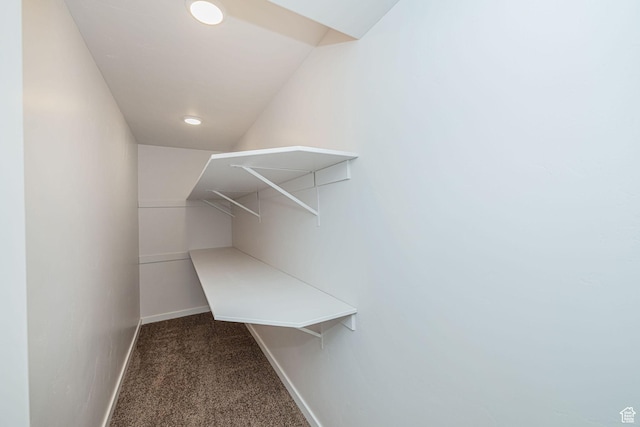 432 E 2700 N, North Ogden, UT 84414 - walk in closet with dark colored carpet