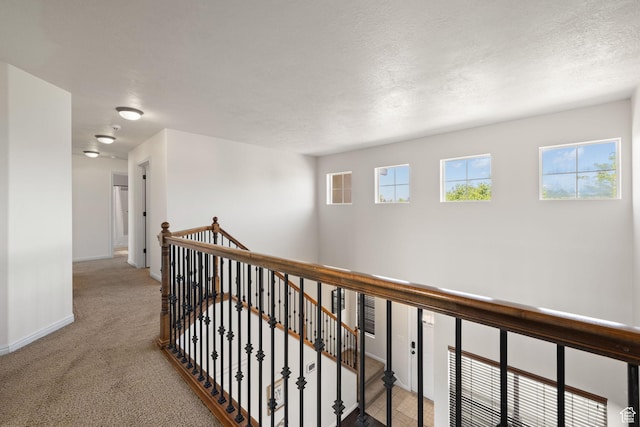 3991 W Hollandia Ln, West Jordan, UT 84084 - hall with an upstairs landing and carpet