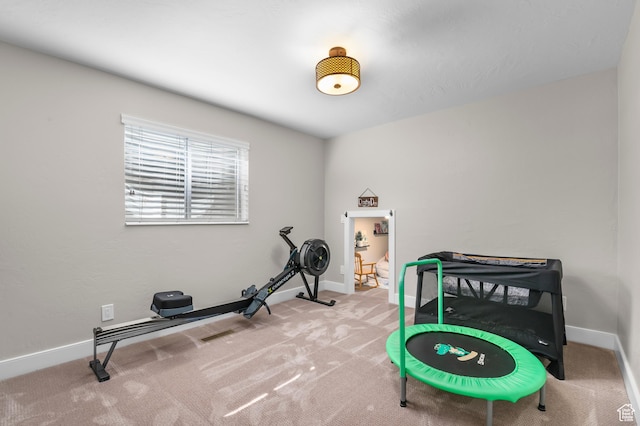 7968 S Titian St E, Cottonwood Heights, UT 84121 - exercise room featuring carpet