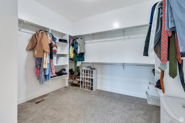 586 S Appenzell Ln W Unit 16, Midway, UT 84049 - walk in closet featuring carpet flooring
