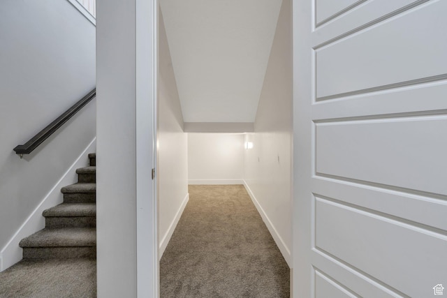 586 S Appenzell Ln W Unit 16, Midway, UT 84049 - stairway with carpet and baseboards