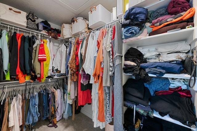 528 S Musk Ave W, Grantsville, UT 84029 - walk in closet featuring carpet and attic access