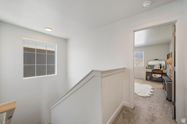 528 S Musk Ave W, Grantsville, UT 84029 - corridor with carpet, an upstairs landing, plenty of natural light, and a textured ceiling