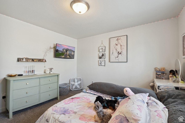 6228 N Boulter Peak Ln, Eagle Mountain, UT 84005 - bedroom featuring dark carpet