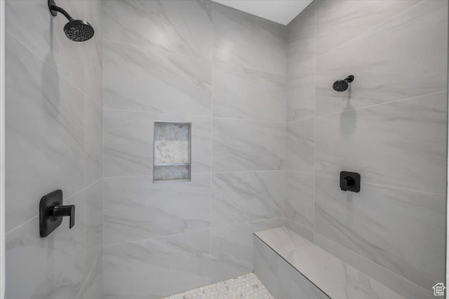 529 E 4290 S, Washington, UT 84780 - full bathroom with tiled shower