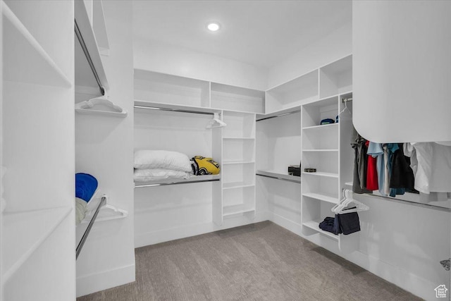 529 E 4290 S, Washington, UT 84780 - walk in closet with carpet floors