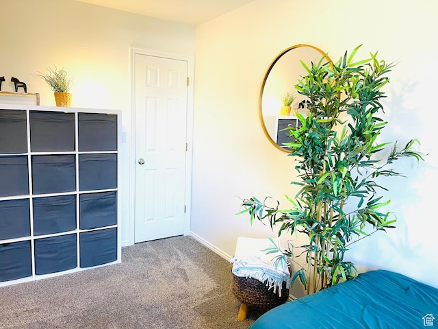 665 S 1040 E, Spanish Fork, UT 84660 - bedroom featuring carpet flooring and baseboards