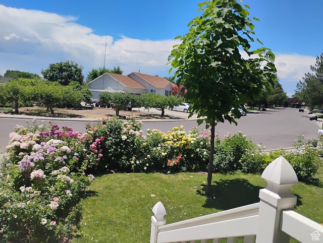 665 S 1040 E, Spanish Fork, UT 84660 - view of green lawn