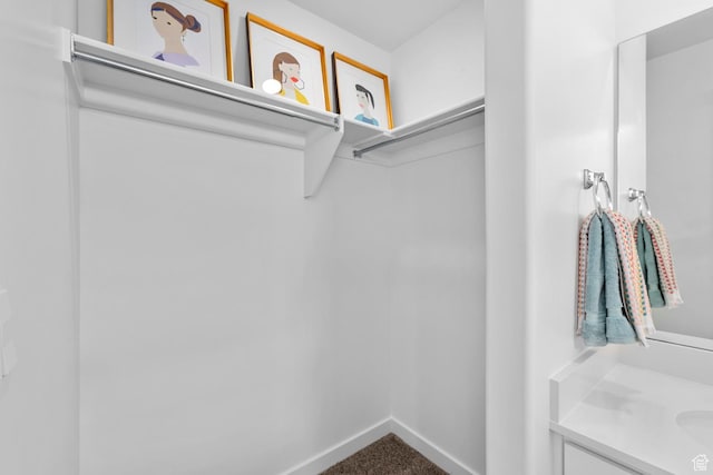 1286 N 375 S Unit 148, Harrisville, UT 84404 - spacious closet with carpet floors