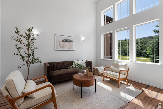 15337 S Eagle Crest Dr E, Draper, UT 84020 - living room featuring wood finished floors and a high ceiling