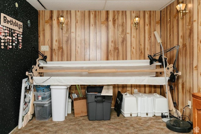 623 W 1635 N, Clinton, UT 84015 - misc room with carpet and wooden walls