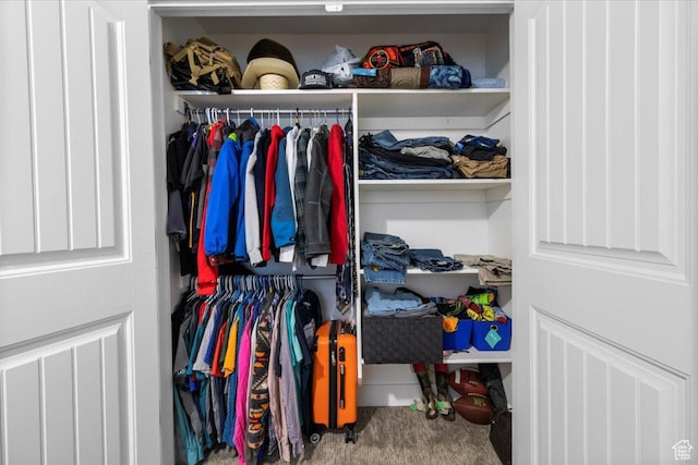 216 E 1370 S, Nephi, UT 84648 - view of closet