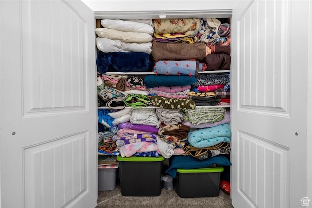 216 E 1370 S, Nephi, UT 84648 - view of closet