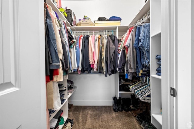 216 E 1370 S, Nephi, UT 84648 - walk in closet with carpet flooring