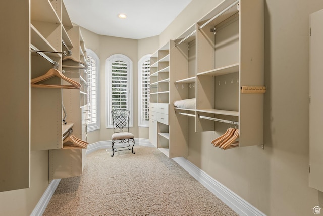 364 N Tanner Ln, Midway, UT 84049 - walk in closet with carpet flooring
