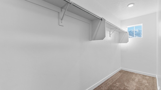 1538 E 720 N Unit 1083, Salem, UT 84653 - walk in closet with carpet
