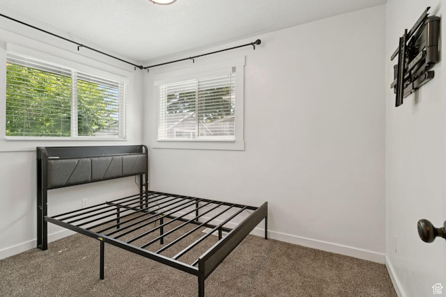 1163 E Blaine Ave, Salt Lake City, UT 84105 - carpeted bedroom with baseboards