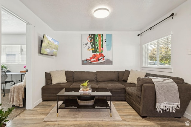 1163 E Blaine Ave, Salt Lake City, UT 84105 - living room with light wood-style flooring