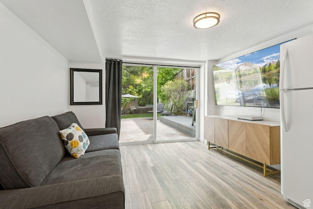1163 E Blaine Ave, Salt Lake City, UT 84105 - living room with light wood-style flooring, a textured ceiling, and a wall of windows