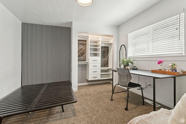 1163 E Blaine Ave, Salt Lake City, UT 84105 - office space with built in desk and carpet