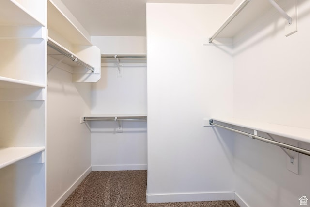 1107 W Coyote Gulch Way, Bluffdale, UT 84065 - walk in closet with carpet flooring