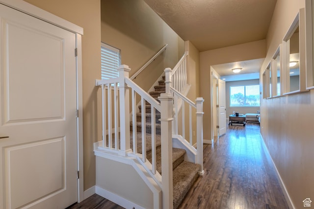 1107 W Coyote Gulch Way, Bluffdale, UT 84065 - stairs featuring hardwood / wood-style flooring and a textured ceiling