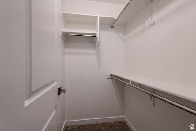 1107 W Coyote Gulch Way, Bluffdale, UT 84065 - walk in closet with dark colored carpet