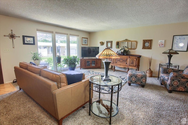 1184 16th St Unit B, Ogden, UT 84404 - carpeted living area featuring a textured ceiling