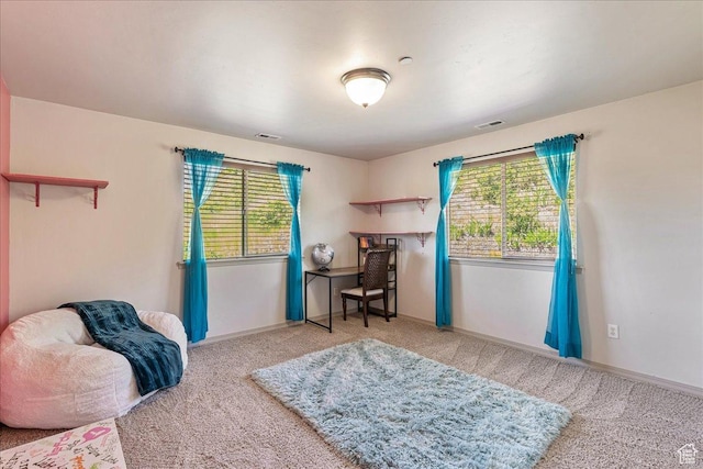 1487 E Deer Ridge Dr, Draper, UT 84020 - bedroom with carpet floors and multiple windows