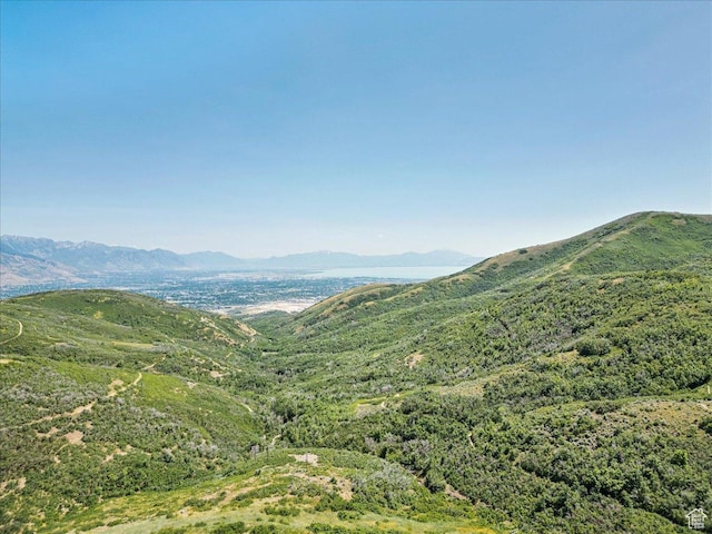 1487 E Deer Ridge Dr, Draper, UT 84020 - mountain view