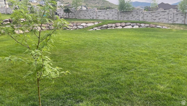 14312 S Herriman View Way, Herriman, UT 84096 - view of yard featuring a mountain view