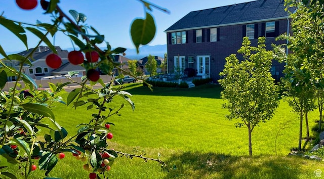 14312 S Herriman View Way, Herriman, UT 84096 - view of green lawn