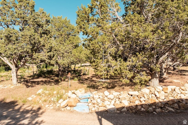 22310 N Cedar Dr Unit C-14, Fairview, UT 84629