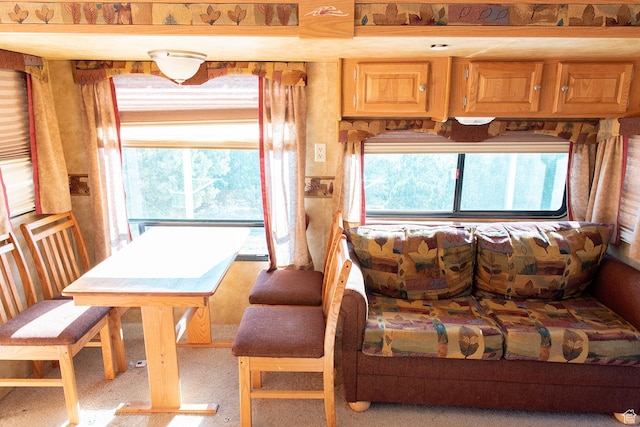 22310 N Cedar Dr Unit C-14, Fairview, UT 84629