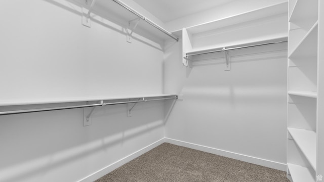 838 N 1860 E Unit 161, Salem, UT 84653 - spacious closet featuring carpet floors
