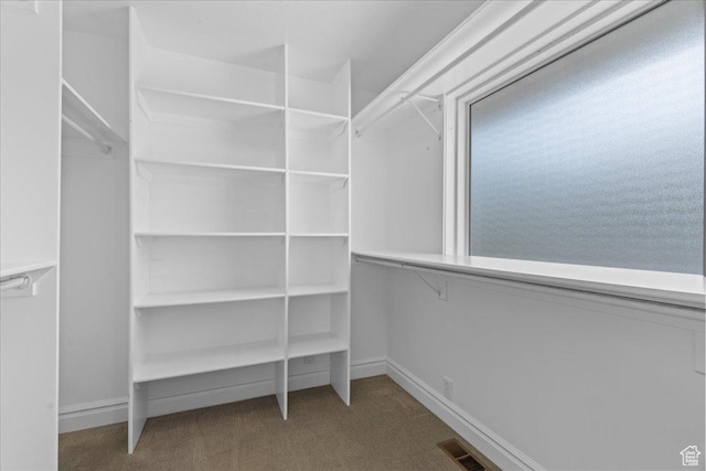 8022 S Deer Creek Rd E, Cottonwood Heights, UT 84121 - spacious closet featuring carpet floors