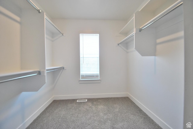 1183 W 1820 S, Logan, UT 84321 - walk in closet featuring carpet