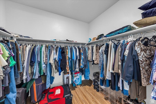 2811 S 3210 E, St George, UT 84790 - spacious closet featuring wood finished floors