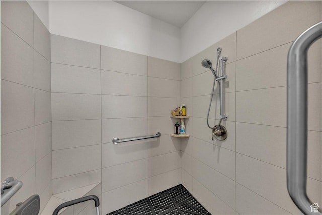 2811 S 3210 E, St George, UT 84790 - bathroom featuring a tile shower