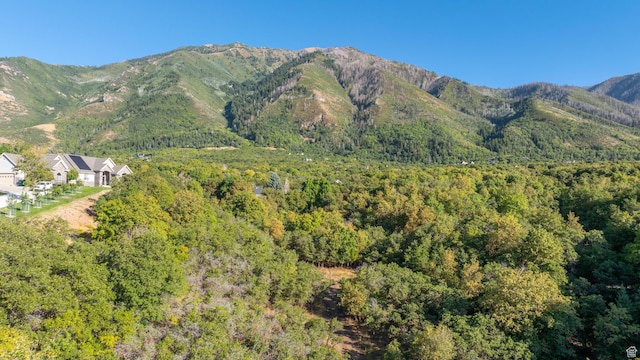 190 W Autumn Leaf Cir Unit 2, Woodland Hills, UT 84653