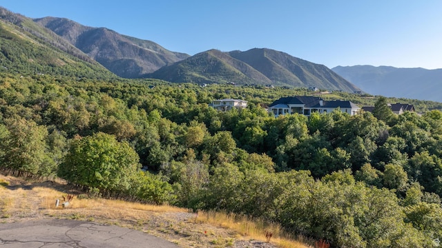 190 W Autumn Leaf Cir Unit 2, Woodland Hills, UT 84653