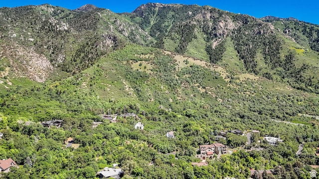 3385 E Deer Hollow Cir S, Sandy, UT 84092 - photo 28