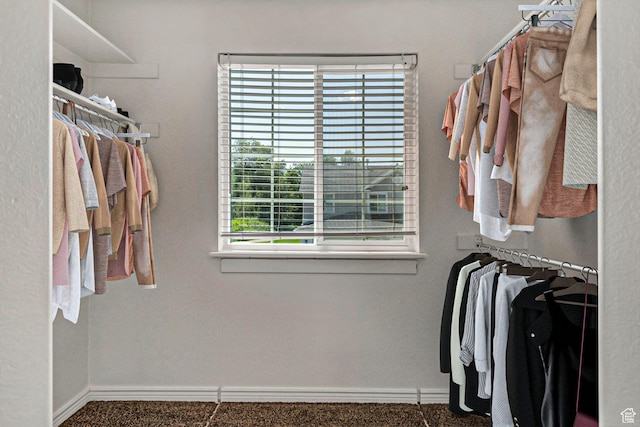1489 S Silver Maple Ct, Payson, UT 84651 - view of walk in closet