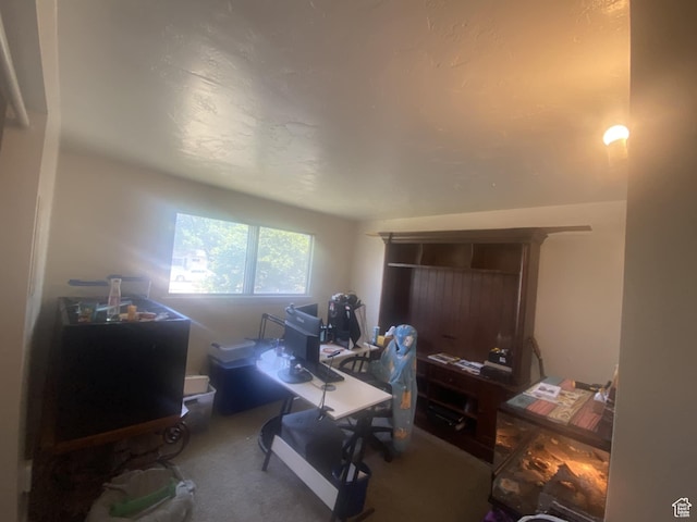 229 E 400 N, Duchesne, UT 84021 - view of carpeted office space