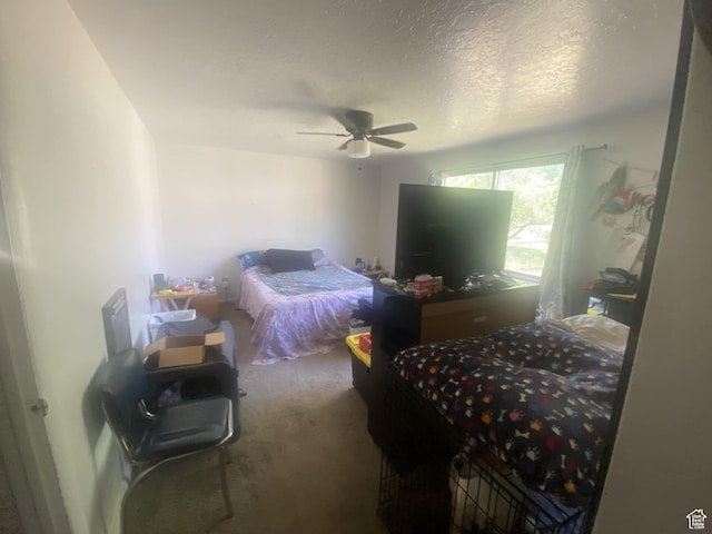 229 E 400 N, Duchesne, UT 84021 - bedroom featuring carpet, ceiling fan, and a textured ceiling